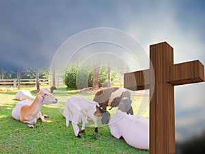 Crosss with a group of sheeps, lamb of god, 3d rendering