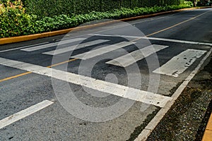 Crosswalk on asphalt road