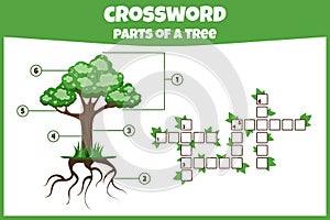 Crossword with parts of tree. Parts of a tree.