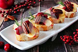 Crostini appetizers with apples, cranberries and brie, close up on plate