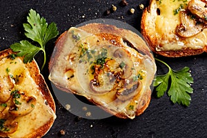 Crostini with melted cheese, mushrooms and fresh parsley on black background