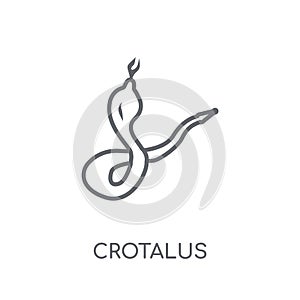 Crotalus linear icon. Modern outline Crotalus logo concept on wh