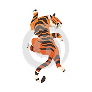 Crouching or hunting tiger. View from above of big wild cat vector illustration