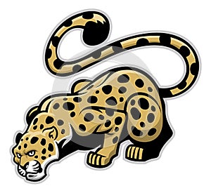 Crouching leopard mascot photo