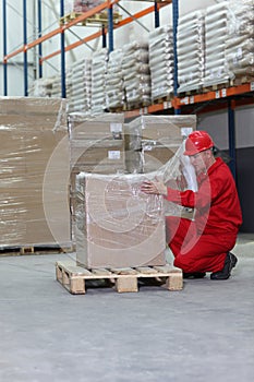 Crouching worker wrapping box on pallet photo