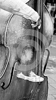 Croud of people hearing a Cello player