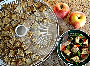 Croutons on dehydrator tray apples salad edible garnish