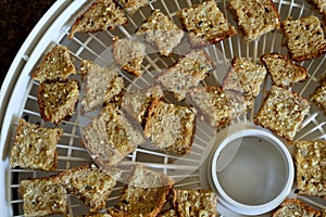 Croutons on dehydrator tray edible garnish closeup