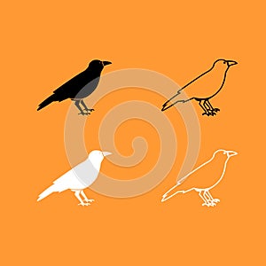 Crow black and white icon .