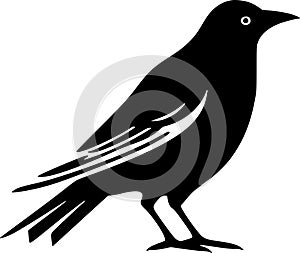 Crow - black and white vector illustration