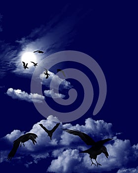 Crow Flock in Moonlit Skyscape