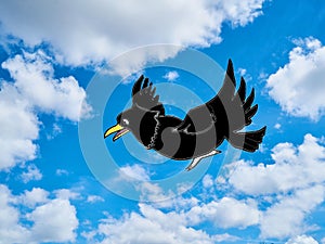 crow flying in img