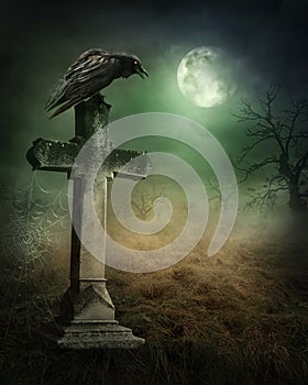 Crow on a grave