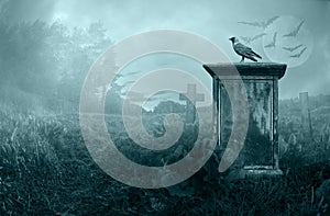 Crow on a gravestone