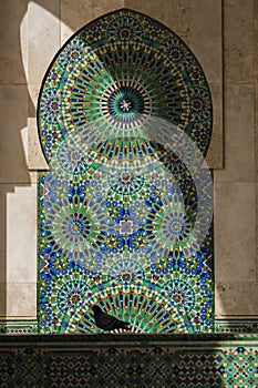 The Crow in Hassan II Mosque,Casablanca, Morocco