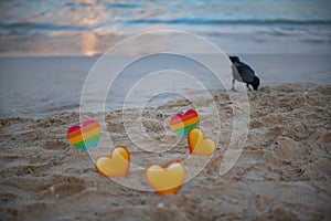 crow and lgbt and yellow hearts in the sand are standing
