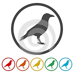 Crow Raven vector silhouette icon