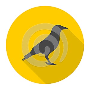 Crow Raven vector silhouette icon with long shadow
