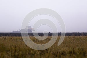 A crow sits on an arable land that is harrowed by a tractor in an early foggy morning photo