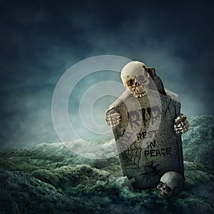 Crow sitting on a gravestone