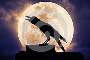 Crow sitting on the rock and croaks against full moon