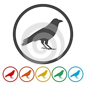 Crow vector illustration design, Crow circle silhouette