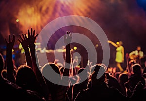 crowd at concert - summer music festival