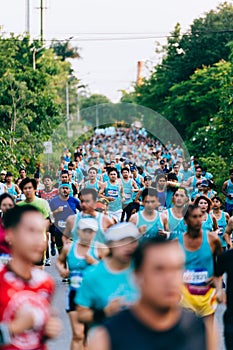 Crowd and diversity of people, men and women in the morning are running mini, half and marathon in the park