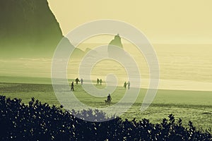 A crowd of people in silhouette walking a misty beach  2