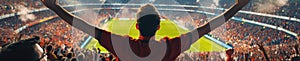 A crowd of people are watching a game in a stadium AIG41