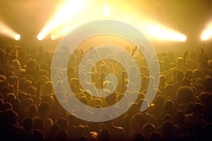 Crowd at punk concert