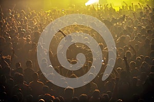 Crowd at punk concert