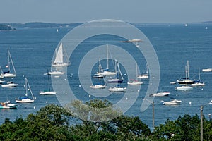 A crowd of sailboats in Portland Harbor, Maine, from above