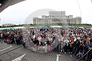 Crowd of spectators at event