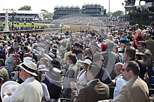 Crowd Watches the Kentucky Derby Race