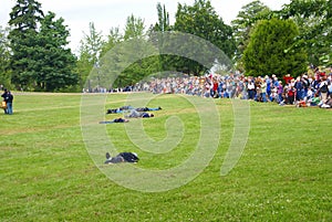 Crowd watching battle