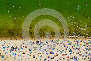 Crowded beach during summertime top down aerial view