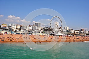 Crowded Brighton Beach with Brighton wheel.