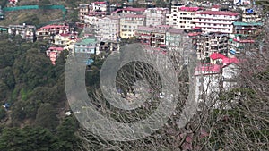 Crowded buildings in Shimla