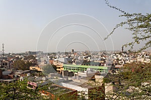 A crowded city shot from a high angle view point with Acacia tree branches in front and blue sky in background.