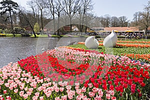 Crowded and colorfull overview keukenhof landscape