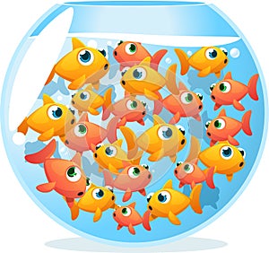 Crowded fishbowl full of fish