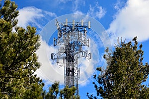 Crowded Full Cell Tower on a Sunny Day with Pine Trees