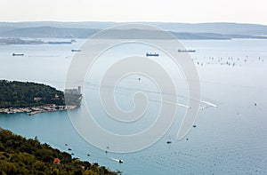 Crowded Waters in the Gulf of Trieste