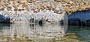 Crowley lake columns in mono county California