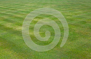 Crown bowls green grass lawn