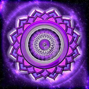 The Crown Chakra