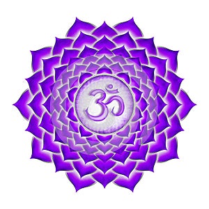 The Crown Chakra