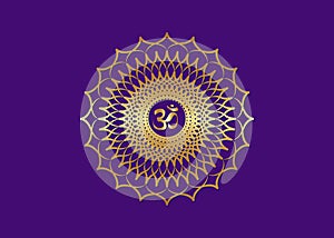 Crown Chakra Sahasrara. 7th chakra is located at the top of the head. It represent states of higher consciousness and divine icon