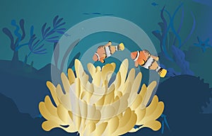 Crown fish and sea anemone ocean view